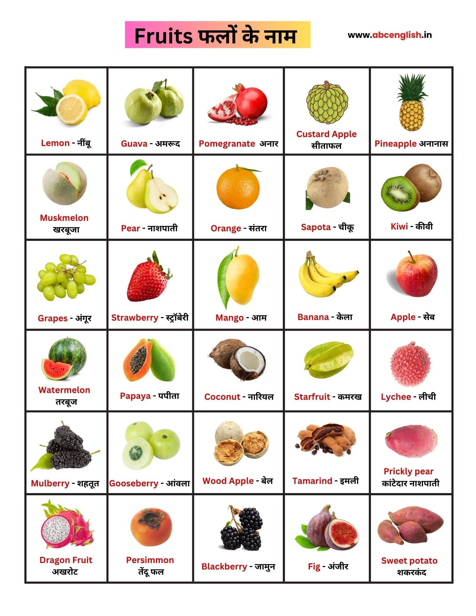 fruits name chart