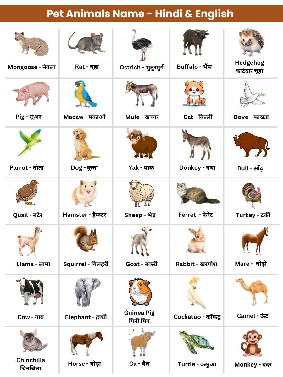 pet animal names in both Hindi and English