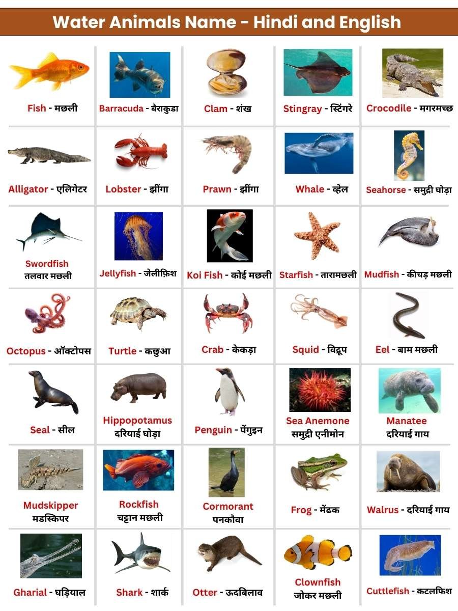 water animals name
